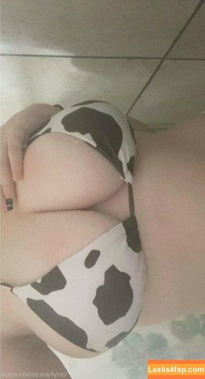 Hioobs photo #0131