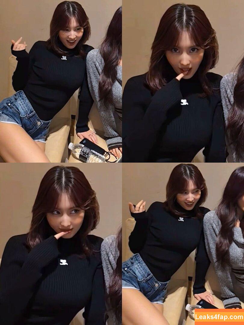 Hirai Momo free nudes