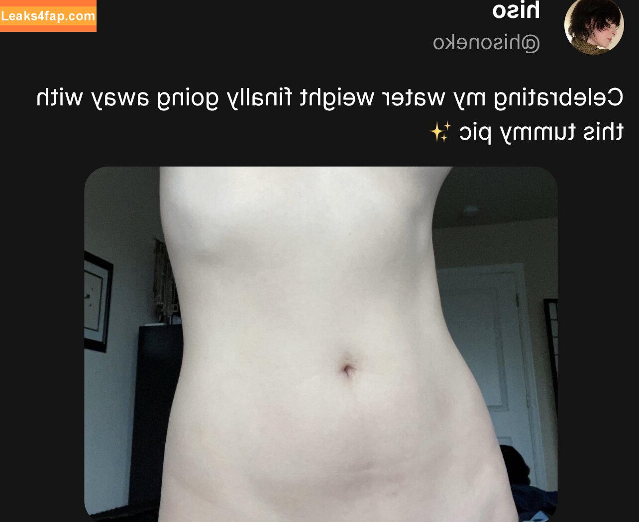 Hiso Neko / hiso.neko / hiso_neko / hisoneko leaked photo photo #0001