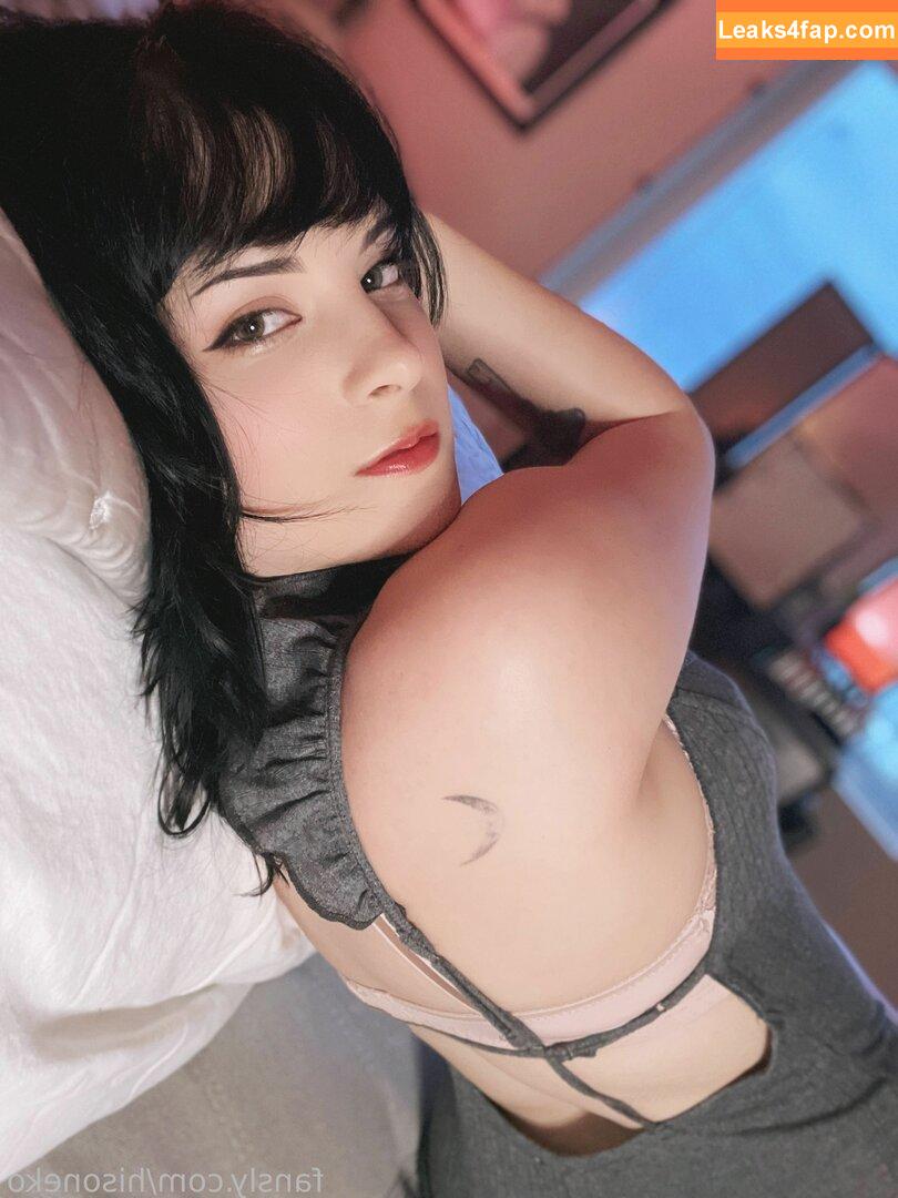 Hiso Neko / hiso.neko / hiso_neko / hisoneko leaked photo photo #0444