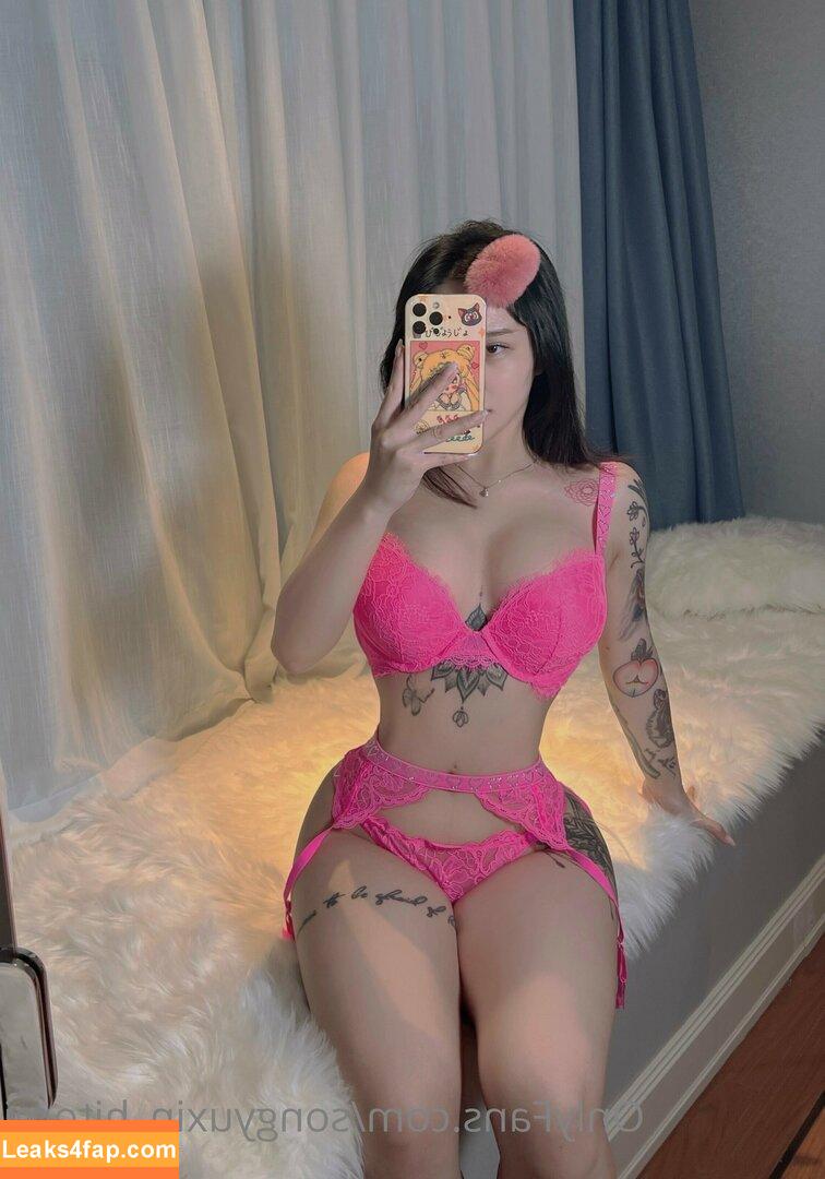 Hitomi Songyuxin / Lindsay78690789 / i_am_hitomi_1994 / songyuxinhitomi leaked photo photo #0085