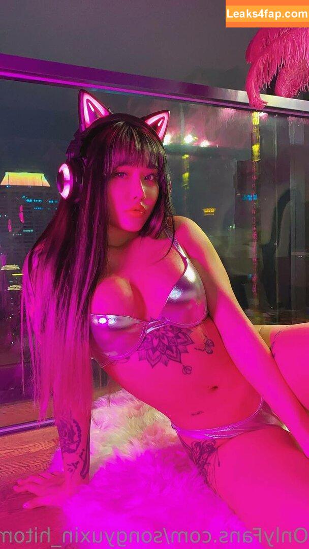 Hitomi Songyuxin / Lindsay78690789 / i_am_hitomi_1994 / songyuxinhitomi leaked photo photo #0099