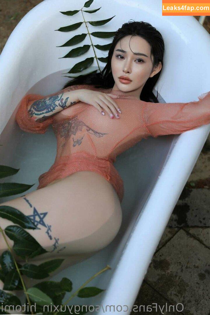 Hitomi Songyuxin / Lindsay78690789 / i_am_hitomi_1994 / songyuxinhitomi leaked photo photo #0123