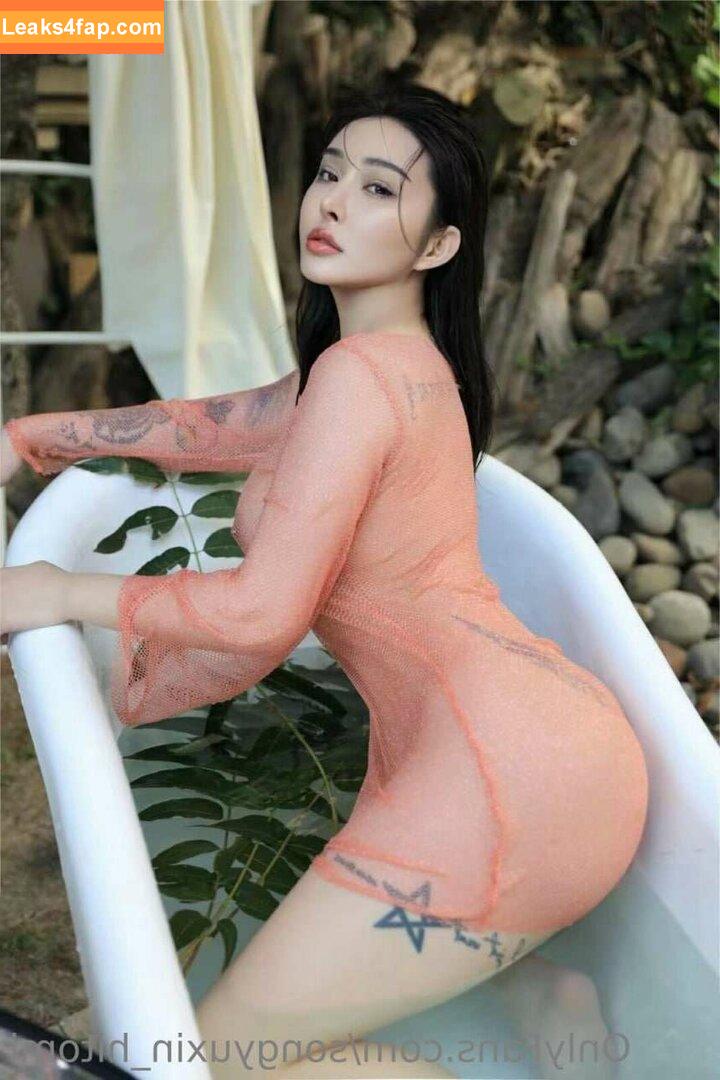 Hitomi Songyuxin / Lindsay78690789 / i_am_hitomi_1994 / songyuxinhitomi leaked photo photo #0127