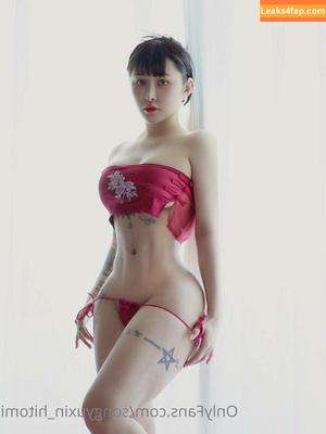 Hitomi Songyuxin photo #0068