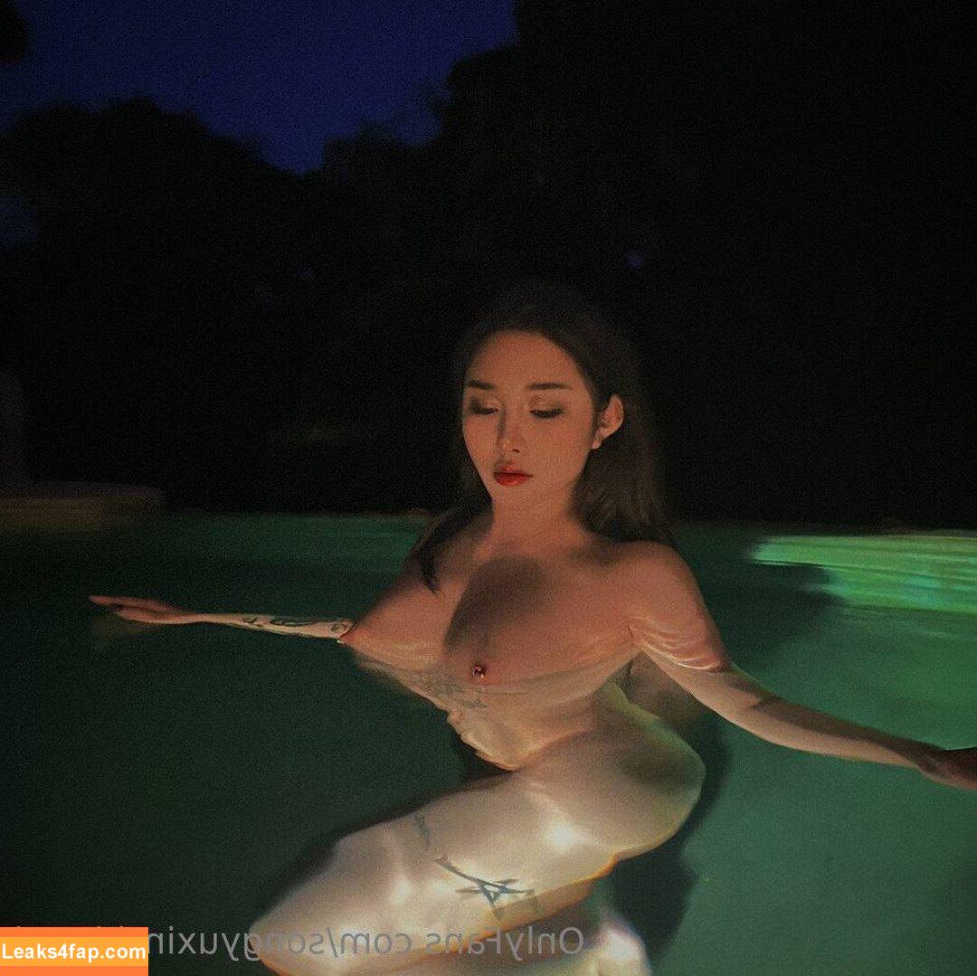 Hitomi Songyuxin / Lindsay78690789 / i_am_hitomi_1994 / songyuxinhitomi leaked photo photo #1080