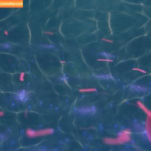 Holly Garner photo #0507