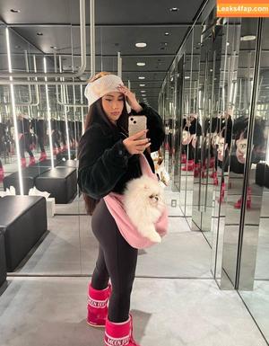 holottacheese фото #0002