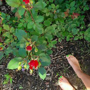 hoopinghippie23 photo #0141