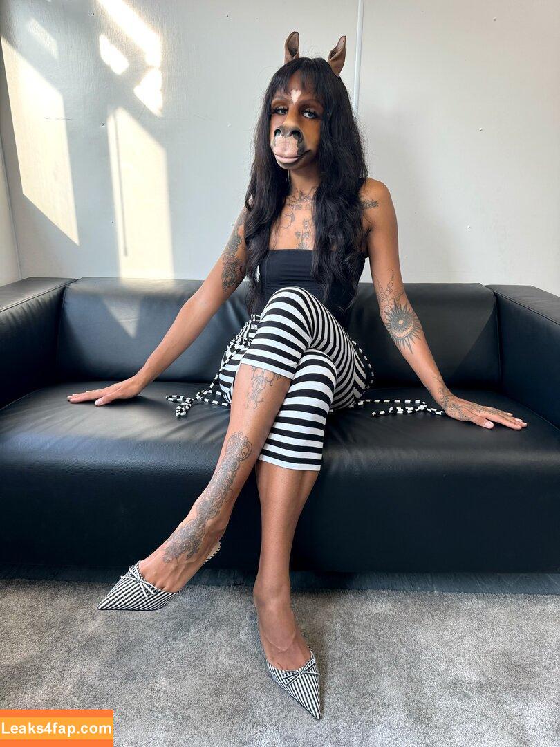 HorsegiirL / Stella Stallion / horsegiirl420 leaked photo photo #0008