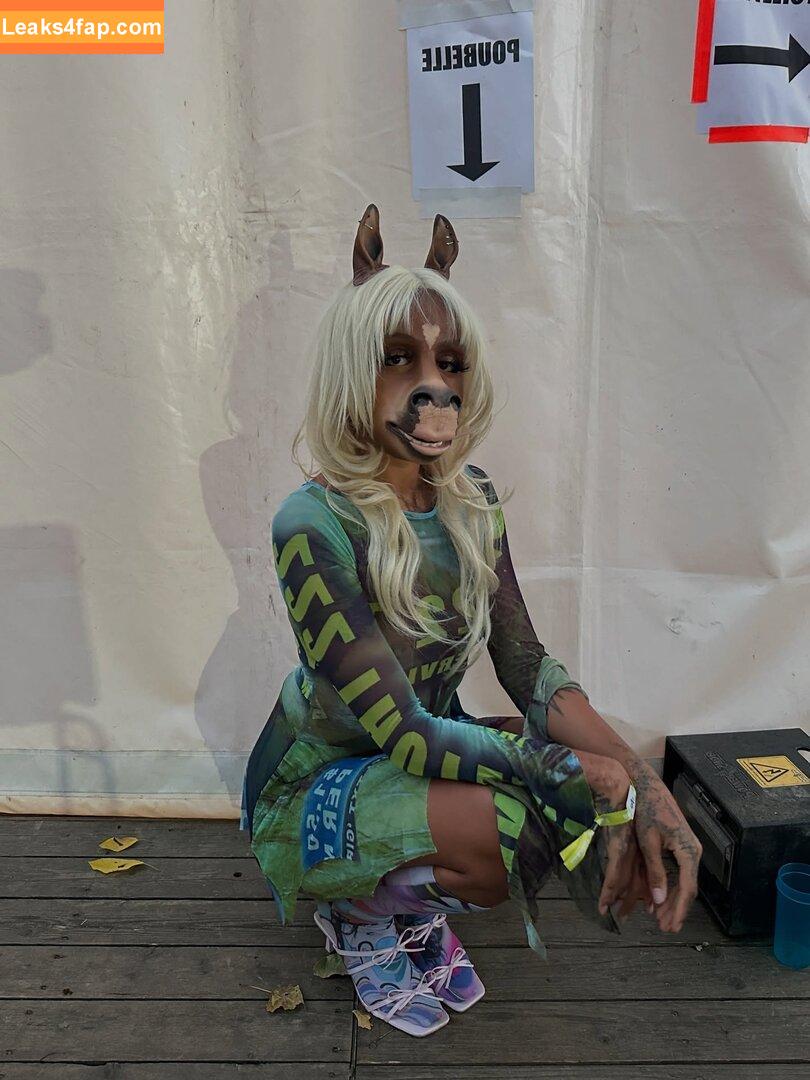 HorsegiirL / Stella Stallion / horsegiirl420 leaked photo photo #0009