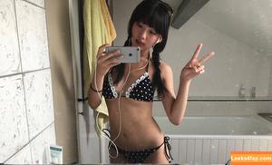hppocampe photo #0006