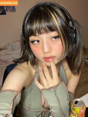 hppocampe photo #0013