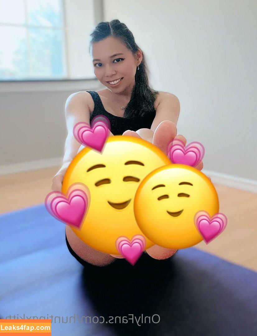 huntingxkitty leaked photo photo #0009