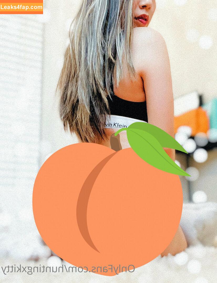huntingxkitty leaked photo photo #0010