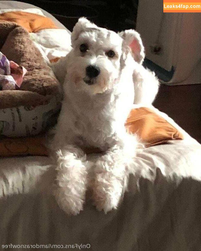 iamdorasnowfree / iamdorasnow leaked photo photo #0180