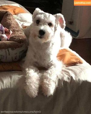 iamdorasnowfree photo #0180