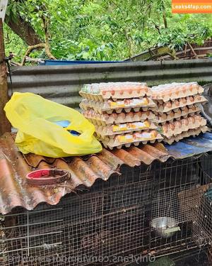 iamdorasnowfree photo #0206