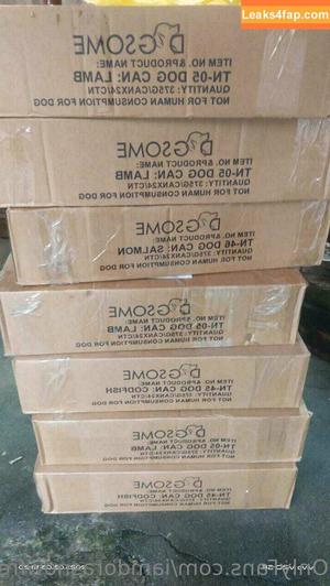 iamdorasnowfree photo #0207