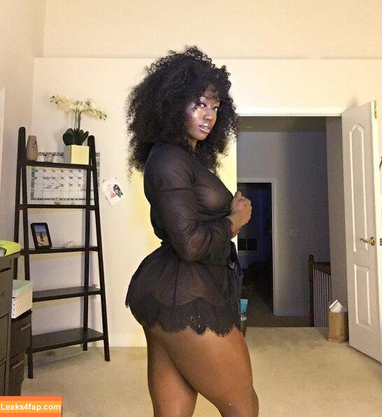 Iamnayfit / Missfit1 / Nayfit / Renee Jones leaked photo photo #0018