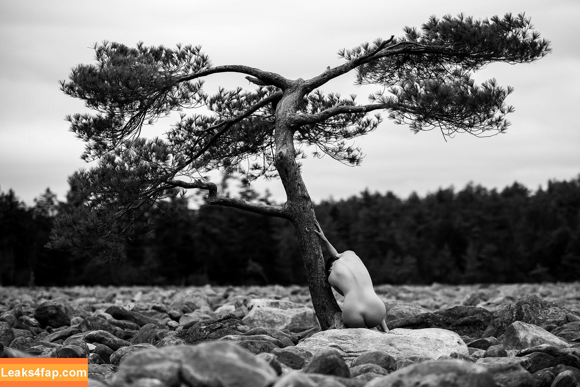 Icelandic Selkie / icelandicselkie / realmofhel.free слитое фото фото #0179