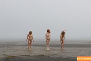 Icelandic Selkie photo #0336