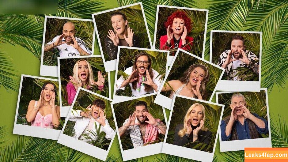 Ich bin ein Star – Holt mich hier raus! / ichbineinstar.rtl leaked photo photo #0009
