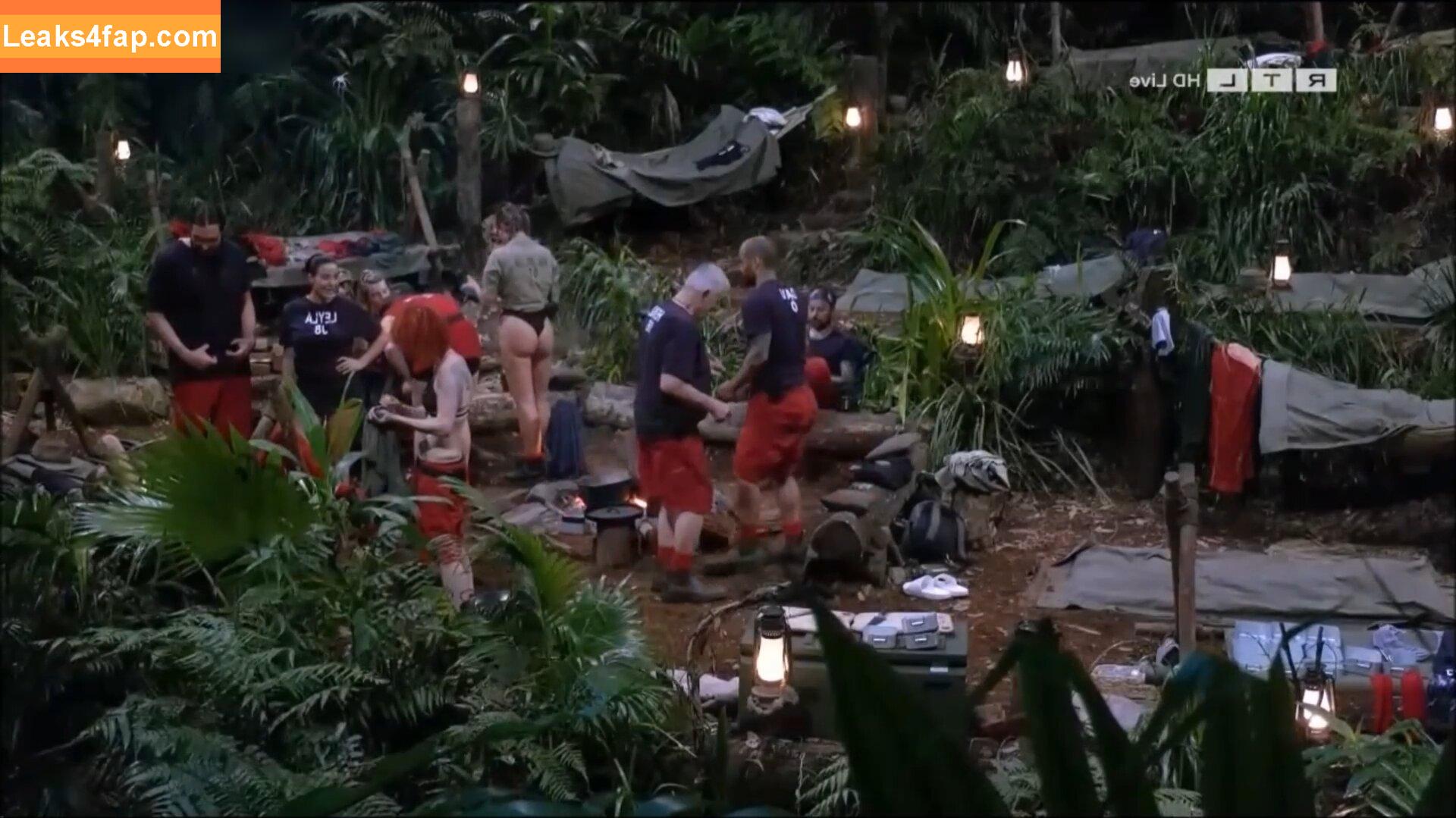 Ich bin ein Star – Holt mich hier raus! / ichbineinstar.rtl leaked photo photo #0136