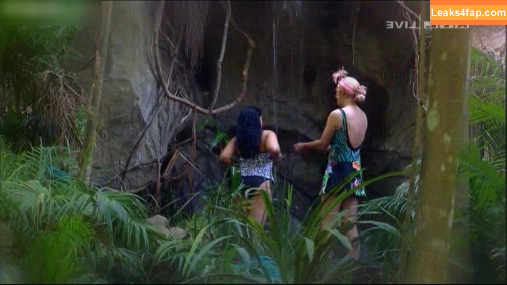 Ich bin ein Star – Holt mich hier raus! / ichbineinstar.rtl leaked photo photo #0148