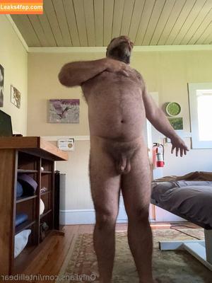 intellibear photo #0001