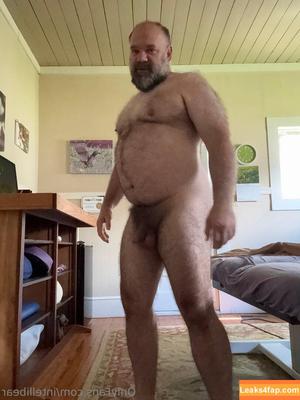 intellibear photo #0002