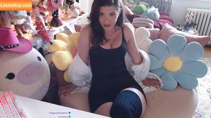 Invadervie photo #1314