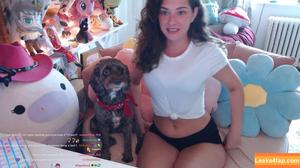 Invadervie photo #1343