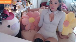 Invadervie photo #1539