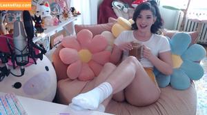 Invadervie photo #1591