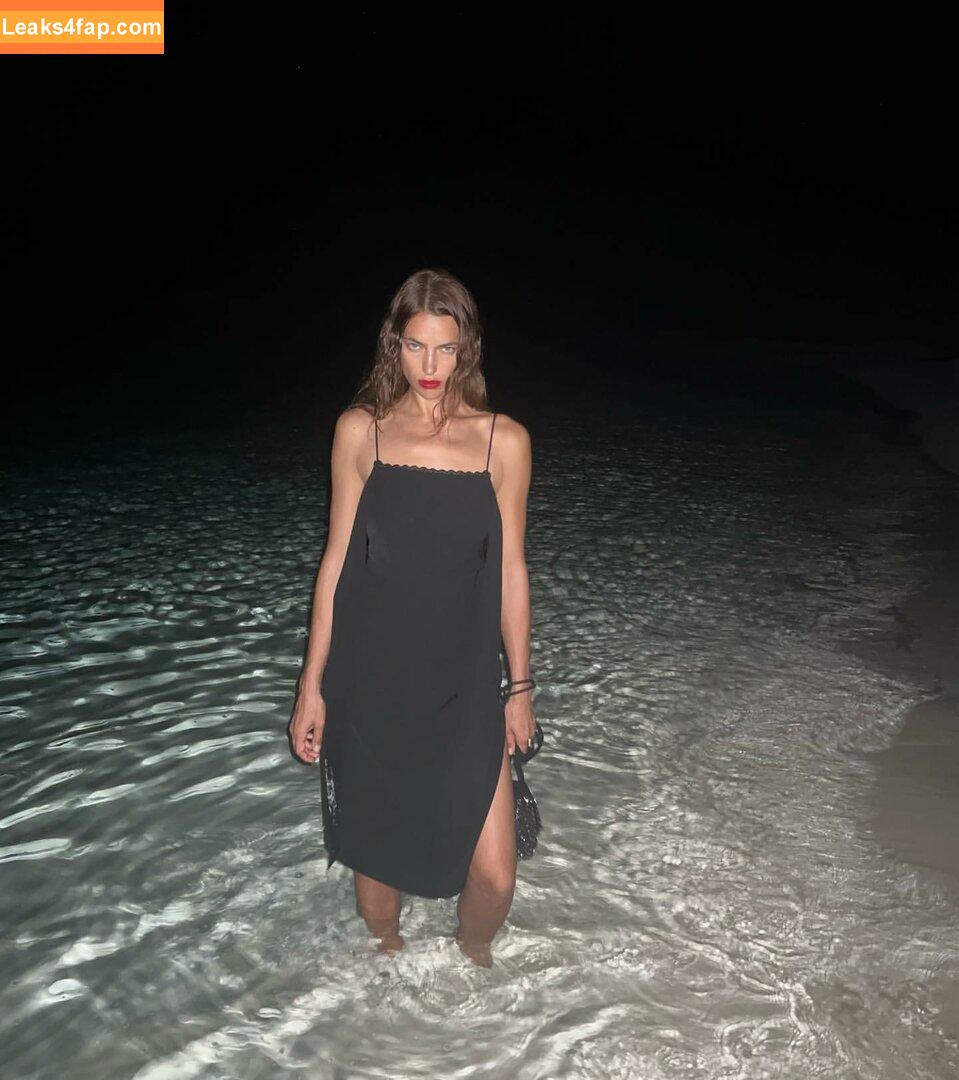 Irina Shayk / irinashayk / theirishayk слитое фото фото #0092