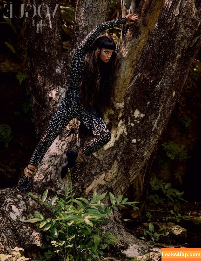 Irina Shayk / irinashayk / theirishayk слитое фото фото #0152