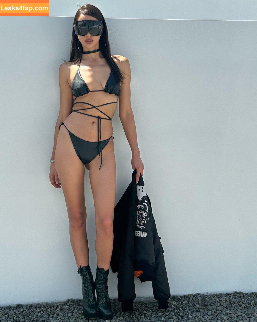 Irina Shayk / irinashayk / theirishayk слитое фото фото #0176