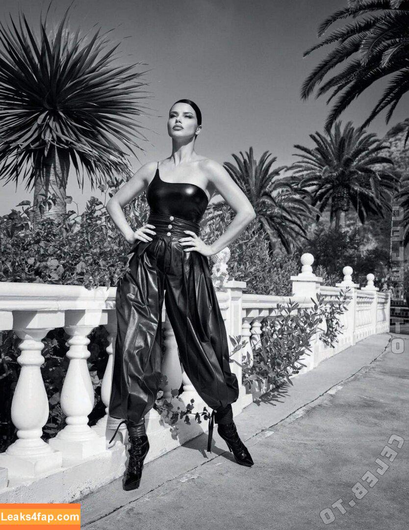 Irina Shayk / https: / irinashayk / theirishayk leaked photo photo #1596