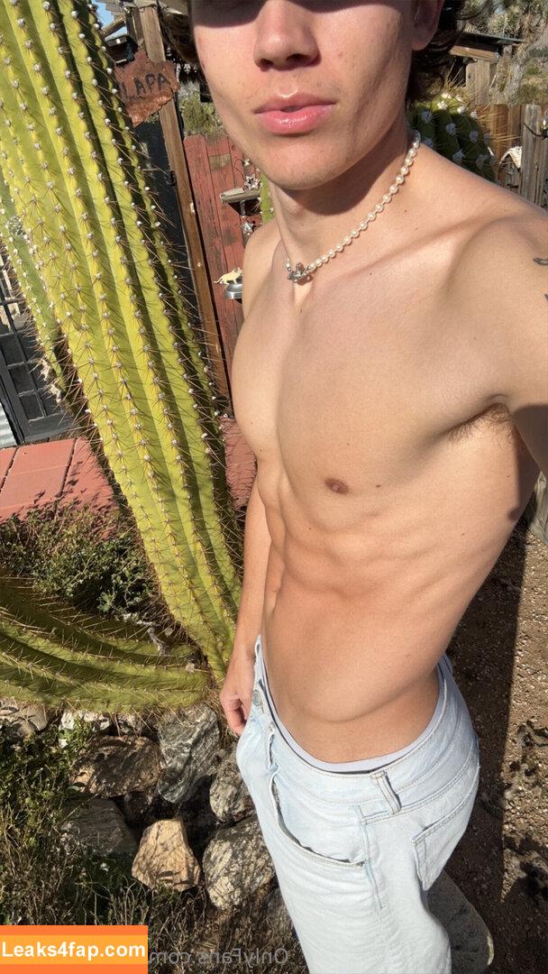 itsaidendavid /  leaked photo photo #0002