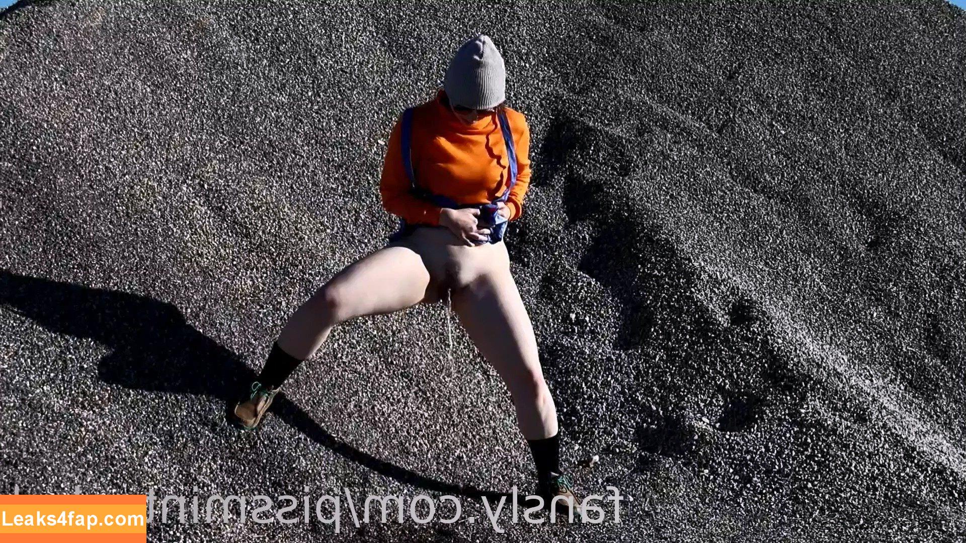 itsmintsalad / Titsmintsalad / pkmnmasterholly leaked photo photo #0234