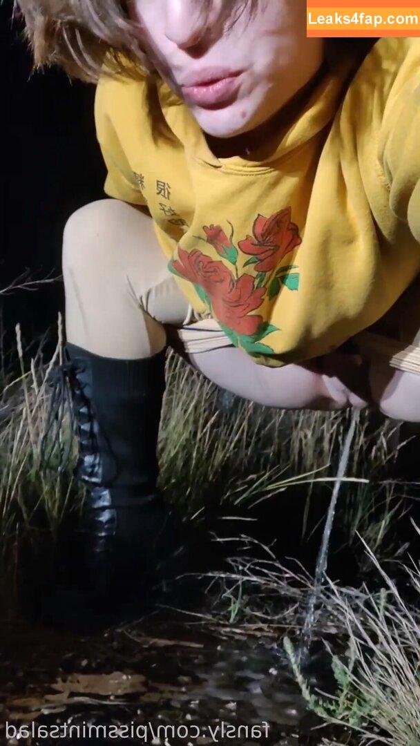 itsmintsalad / Titsmintsalad / pkmnmasterholly leaked photo photo #0235