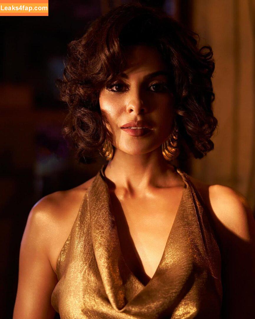 Jacqueline Fernandez / jacquelienefernandez leaked photo photo #0007