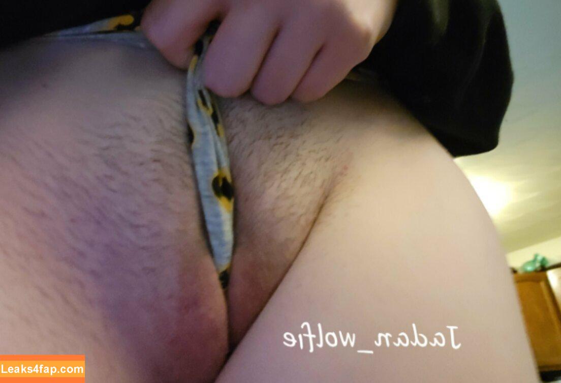 Jadan Wolfie / jadan_wolfie / jadanwolfie / wolfie leaked photo photo #0005