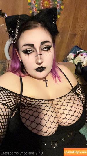 jamboscat1 photo #0031
