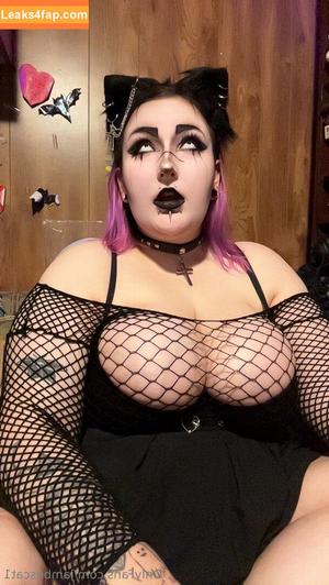 jamboscat1 photo #0034