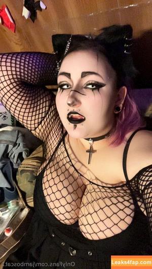 jamboscat1 photo #0037
