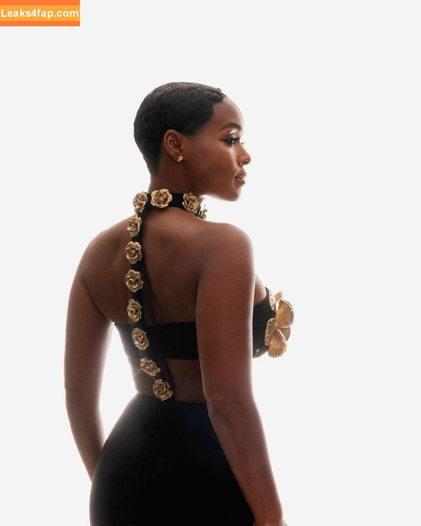 Janelle Monae / janellemonae / screamadelica leaked photo photo #0253