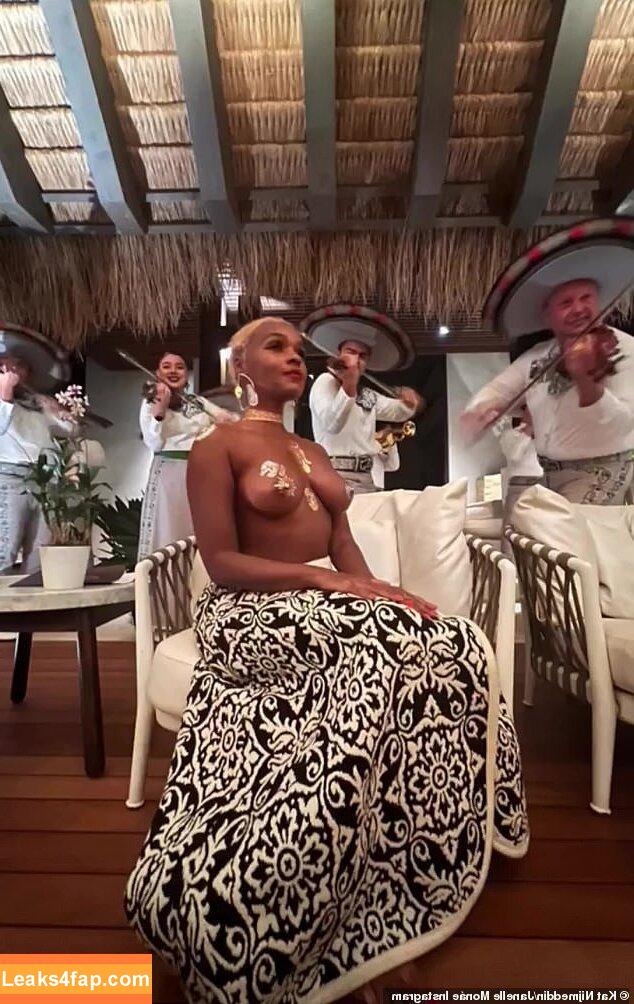 Janelle Monae / janellemonae leaked photo photo #0461