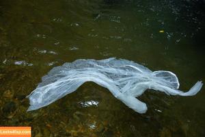 Jav Actress Gravure photo #0989